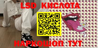 шишки Брянск